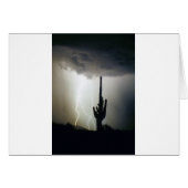 Desert Highlands Lightning (Front Horizontal)