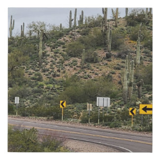 Desert Highway Photo Faux Canvas Print