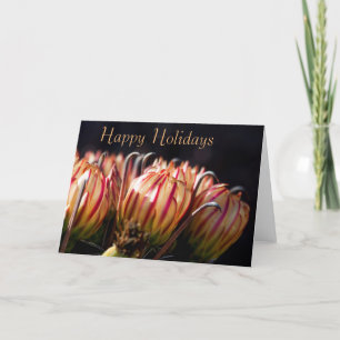 Desert Holiday in Bloom Card