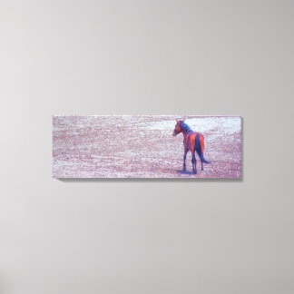 Desert Horse P8640 Canvas Print