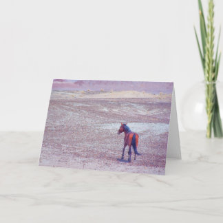 Desert Horse P8640 Card