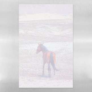 Desert Horse P8640 Magnetic Dry Erase Sheet
