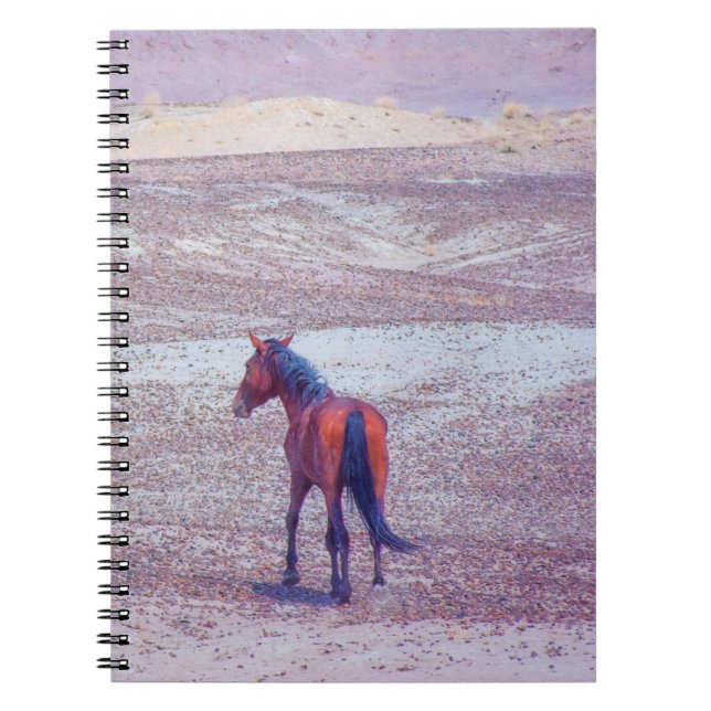 Desert Horse P8640 Notebook (Front)