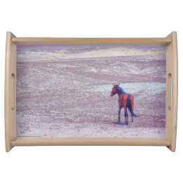 Desert Horse P8640 Serving Tray