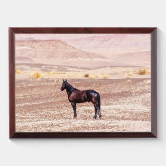Desert Horse P8664 Award Plaque