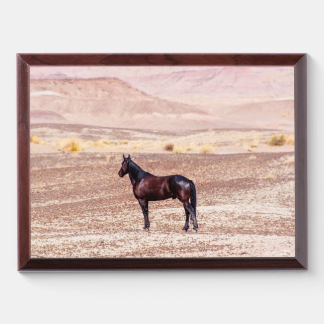 Desert Horse P8664 Award Plaque (Horizontal)