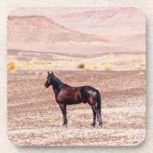 Desert Horse P8664 Beverage Coaster