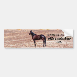 Desert Horse P8664 Bumper Sticker