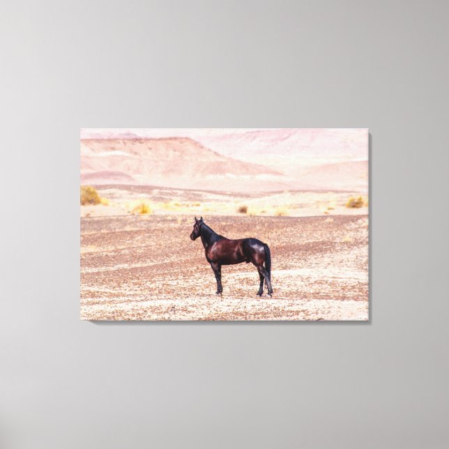 Desert Horse P8664 Canvas Print (Front)