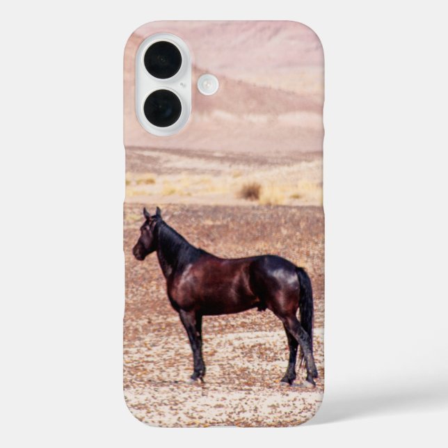 Desert Horse P8664 Case-Mate iPhone Case (Back)