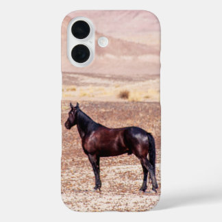 Desert Horse P8664 iPhone 16 Case