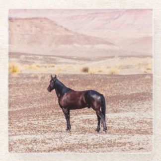 Desert Horse P8664 Glass Coaster