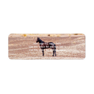 Desert Horse P8664 Label