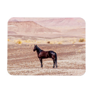 Desert Horse P8664 Magnet