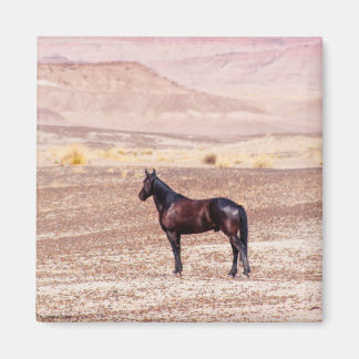 Desert Horse P8664 Magnet
