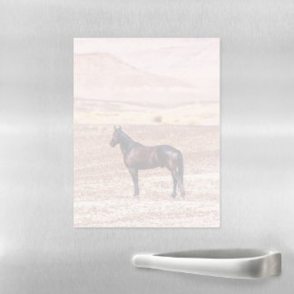 Desert Horse P8664 Magnetic Dry Erase Sheet