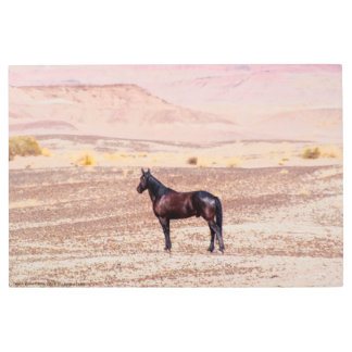Desert Horse P8664 Metal Print