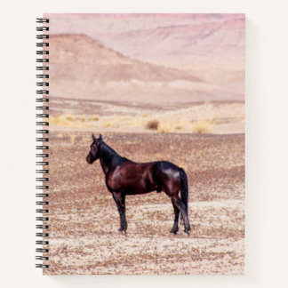 Desert Horse P8664 Notebook
