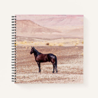 Desert Horse P8664 Notebook