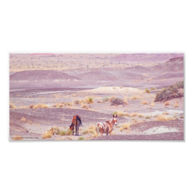 Desert Horses P8639 Photo Print (Front)