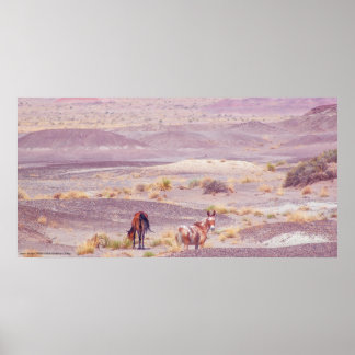 Desert Horses P8639 Poster