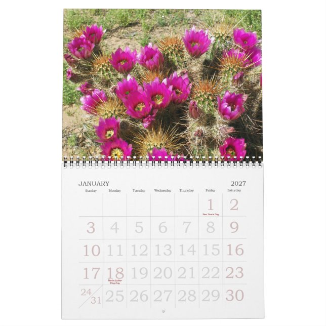 DESERT IN BLOOM CALENDAR (Jan 2027)