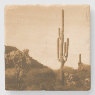 Desert in sepia stone coaster