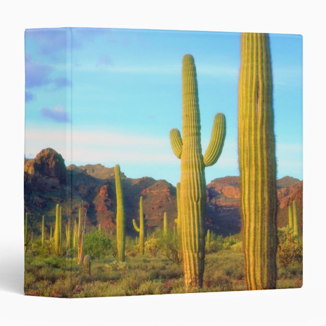 Desert in springtime binder (Front/Spine)