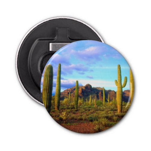 Desert in springtime bottle opener