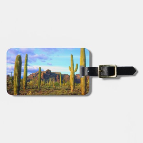 Desert in springtime luggage tag