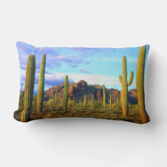 Desert in springtime lumbar pillow (Front)