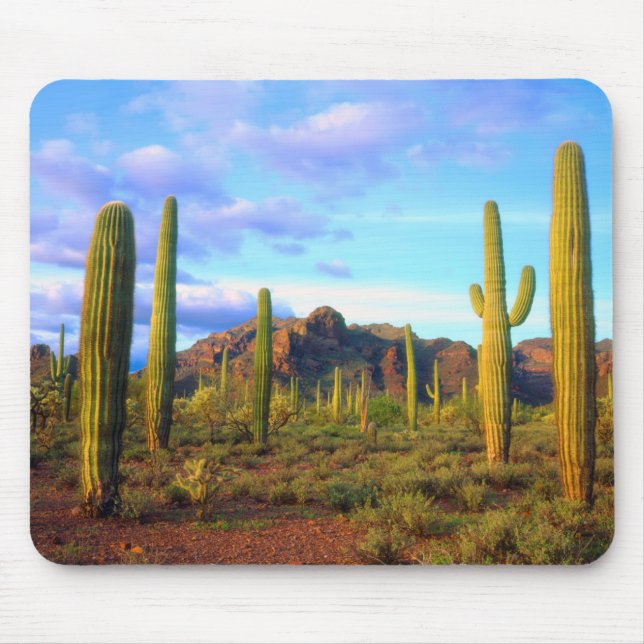 Desert in springtime mouse pad (Front)