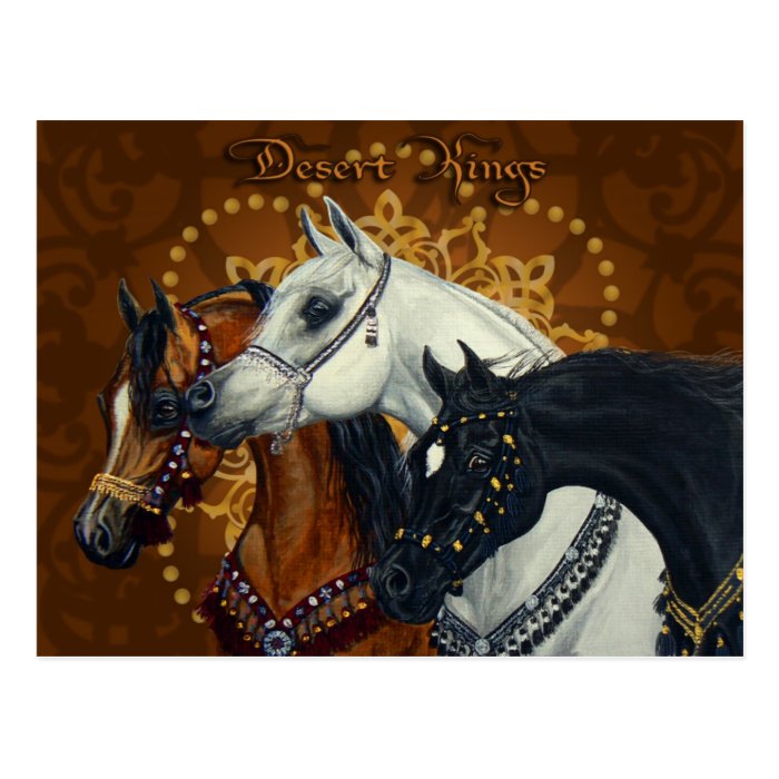 Desert Kings Arabian horses postcard