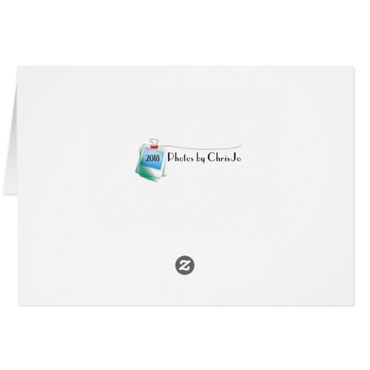 Desert La Cholla Cactus Photo Greeting Card (Back Horizontal)