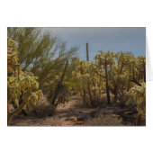 Desert La Cholla Cactus Photo Greeting Card (Front Horizontal)