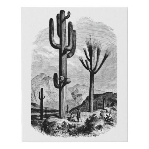 Desert Landscape Cactus Vintage Ink art Drawing  Faux Canvas Print