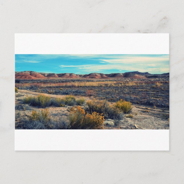 Desert Landscape in Southern Utah Postcard (Front)