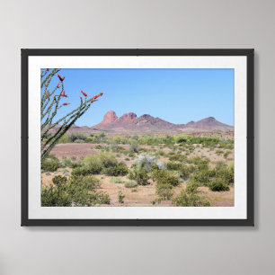 Desert Landscape in Southwest Arizona Framed Art