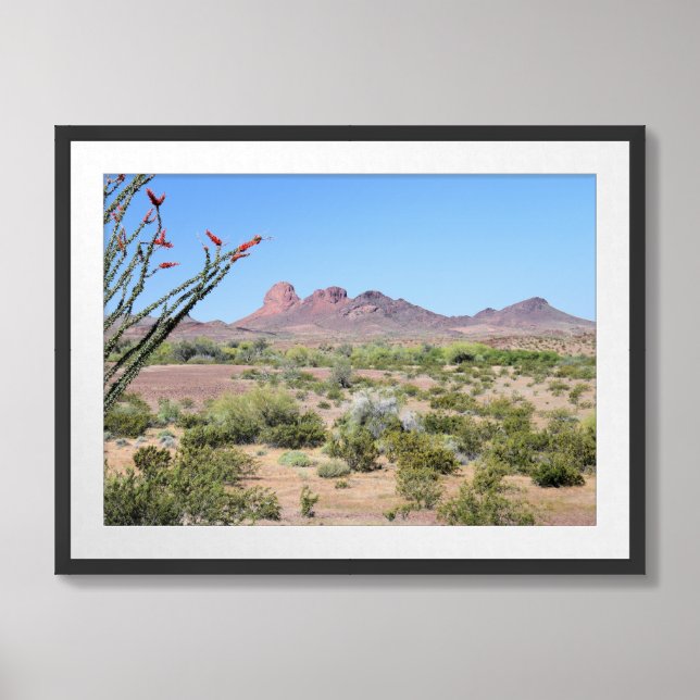 Desert Landscape in Southwest Arizona Framed Art (Framed Front)