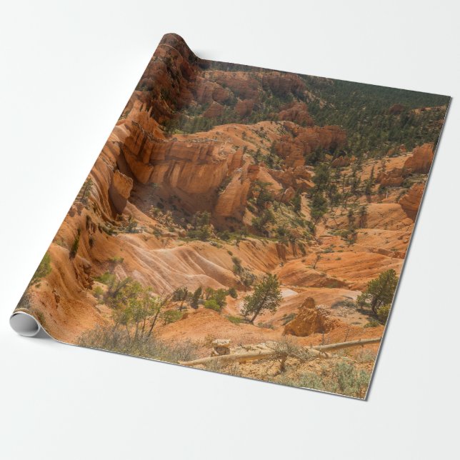 Desert landscape of Bryce Canyon National Park wit Wrapping Paper (Unrolled)