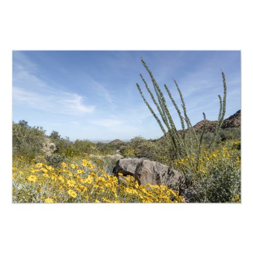 Desert Landscape Photo Print