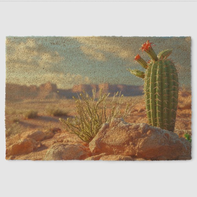 Desert Landscape Southwest Fiber Doormat (Front)