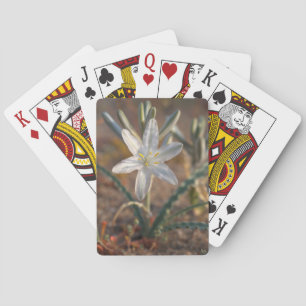 Desert Lily Wildflowers Poker Cards