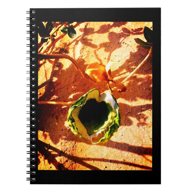 Desert Love Notebook (Front)