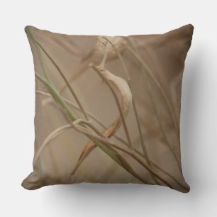 Desert Milkweed Pods Throw Pillow