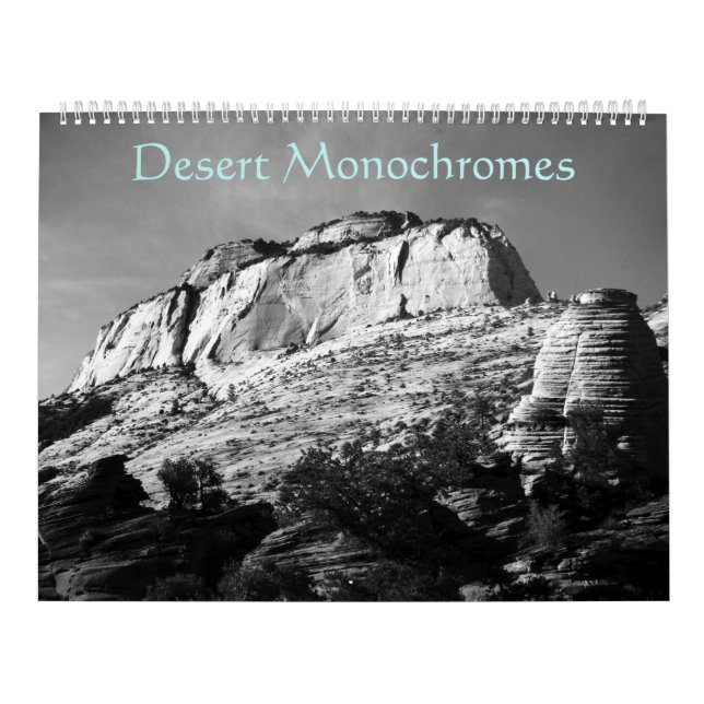 Desert Monochromes (Calendar) Calendar (Cover)