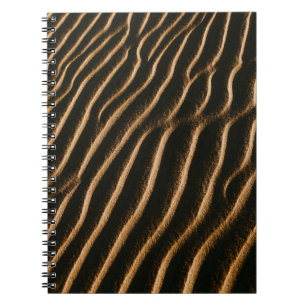 Desert Notebook