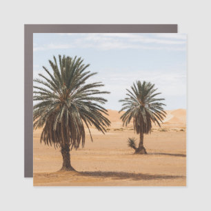 Desert Oasis: Sahara Palms Landscape. Car Magnet