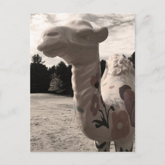 desert of maine postcard