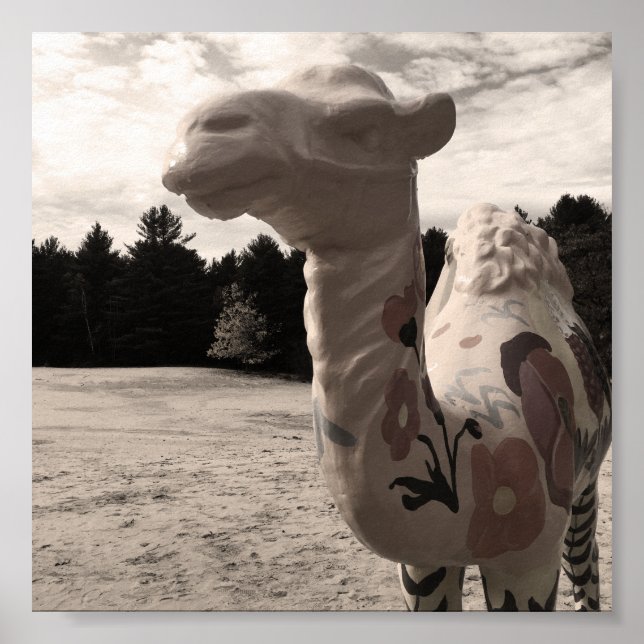 desert of maine poster (Front)